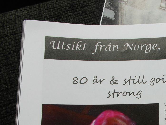  Bluesfestivalen foregår den første uka i august hvert år og byr på dusinvis av  artister fra inn - og utland. (fotoutsnitt: Tove Andersson)