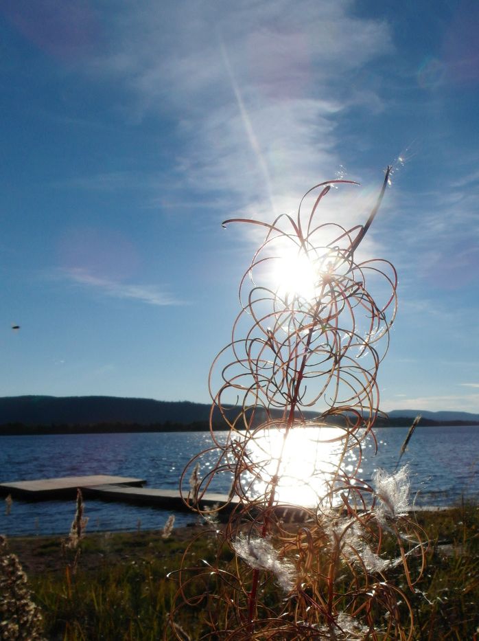 foto: Tove Andersson